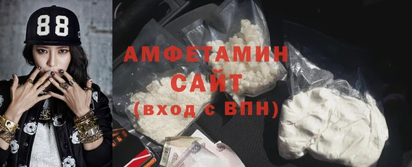 хмурый Абаза