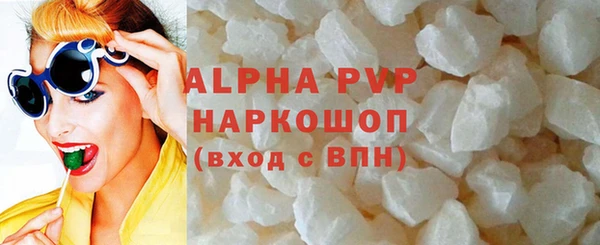 хмурый Абаза