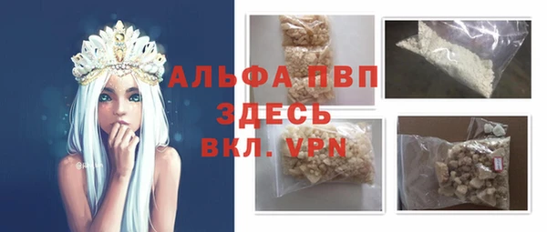 хмурый Абаза