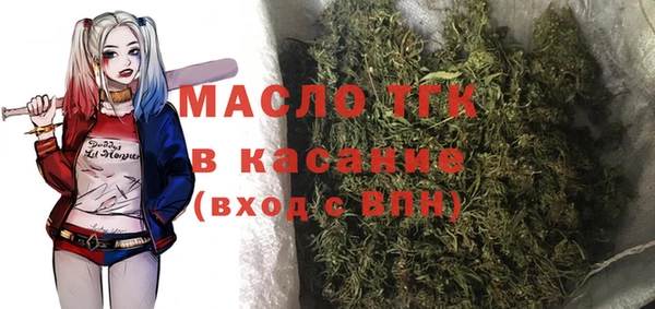 хмурый Абаза