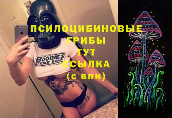 стаф Абинск