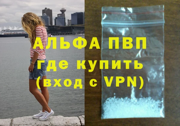 хмурый Абаза