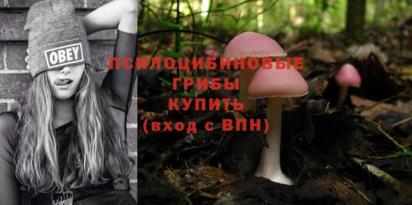 хмурый Абаза