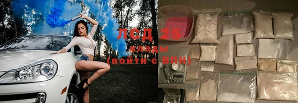 хмурый Абаза