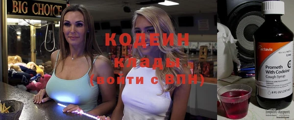 хмурый Абаза