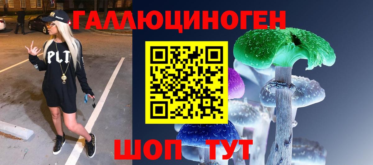 Таганрог  Псилоцибиновые грибы MAGIC MUSHROOMS  Вход с VPN 
