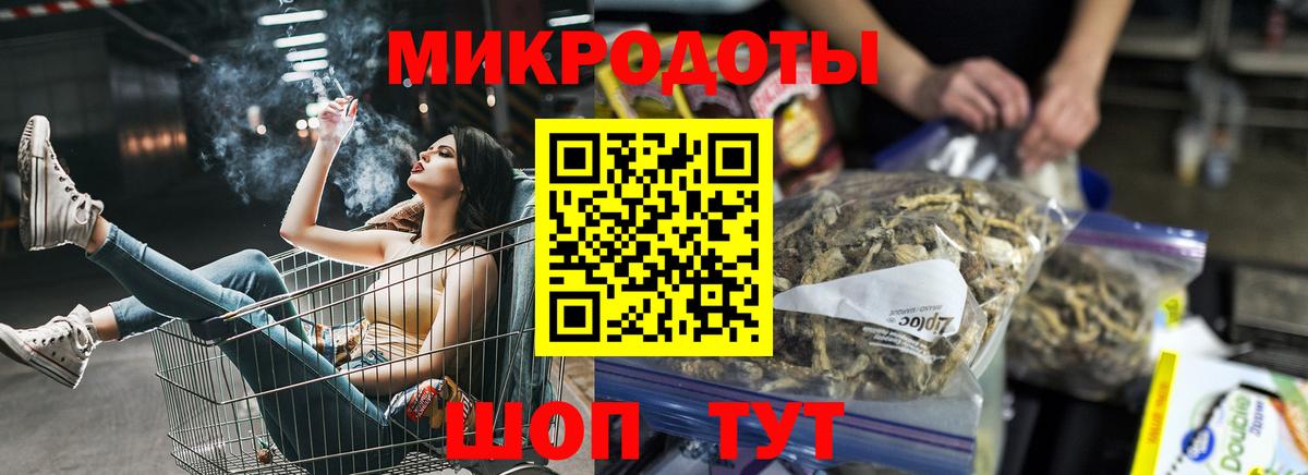 Галлюциногенные грибы Psilocybine cubensis Таганрог